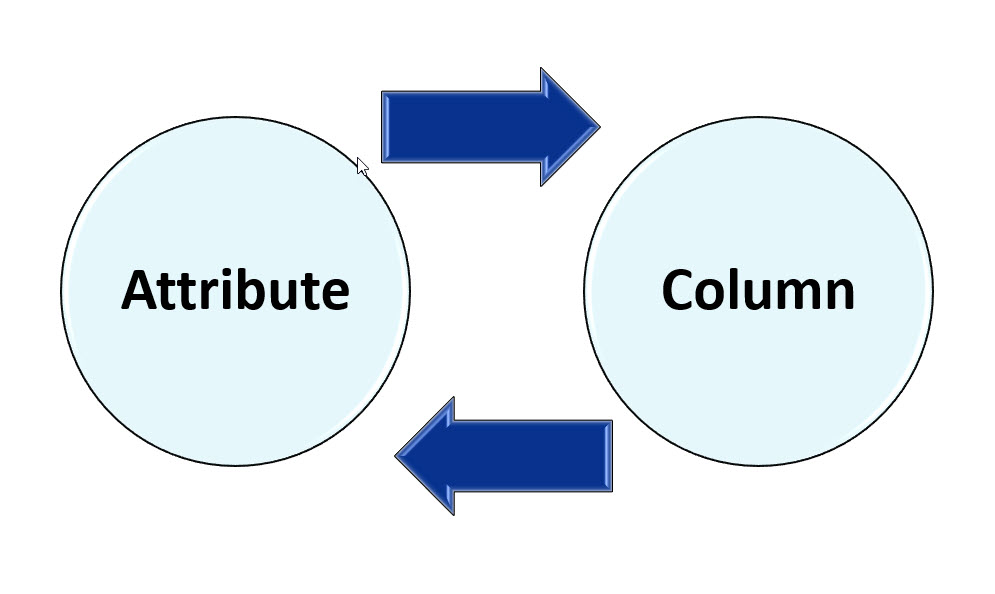 Attribute-Column