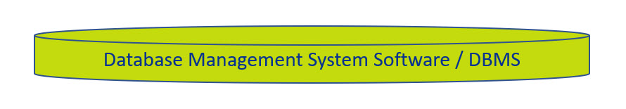 Components of a Business Information System - DBMS