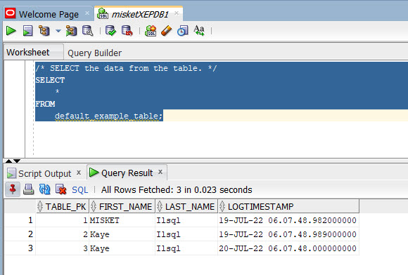 Select rows from the table in SQL Developer.