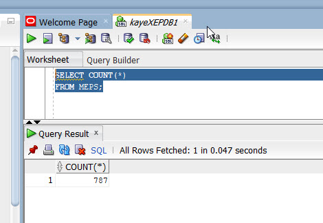 User KAYE queries the number of rows in her table MEPS.