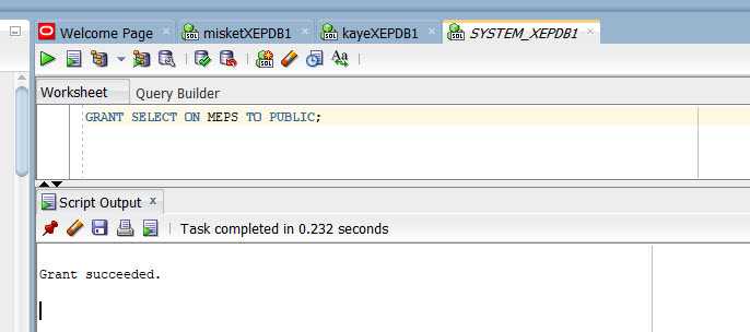 DBA GRANTS SELECT to the Public Synonym MEPS to PUBLIC.