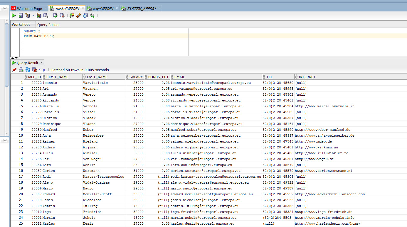 User MISKET selects all rows in  in KAYE's table MEPS 
not through the public synonym but directly from KAYE.MEPS.