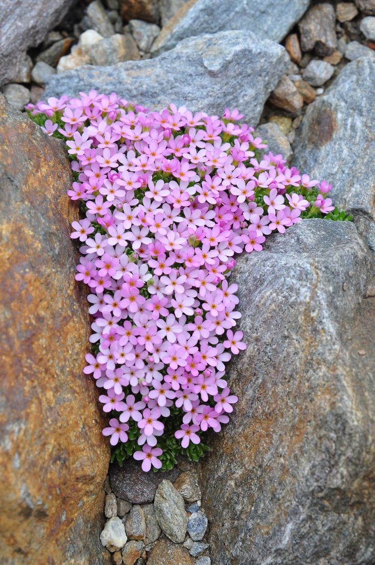 Beauty In Most Unexpected