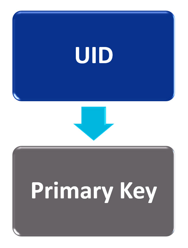A UID in ER Model becomes a Primary Key in Database..