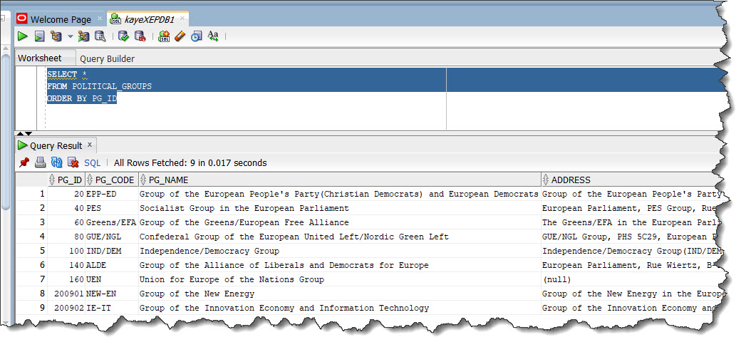 POLITICAL_GROUPS in SQL Developer