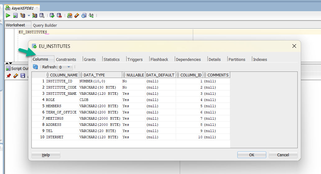 DESCRIBE table EU_INSTITUES (Columns Tab).
