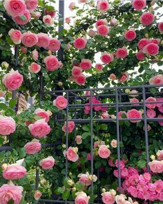 Beautiful