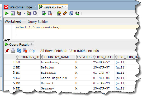 SQL Developer uses semicolon as the statement terminator. 